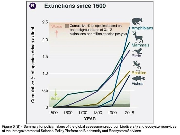 Utrotning av arter, FN